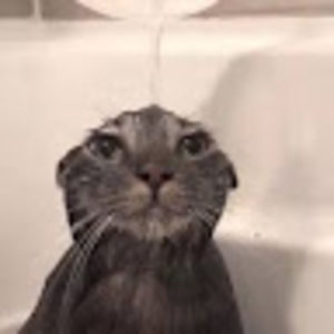 Meet your Posher, Claire